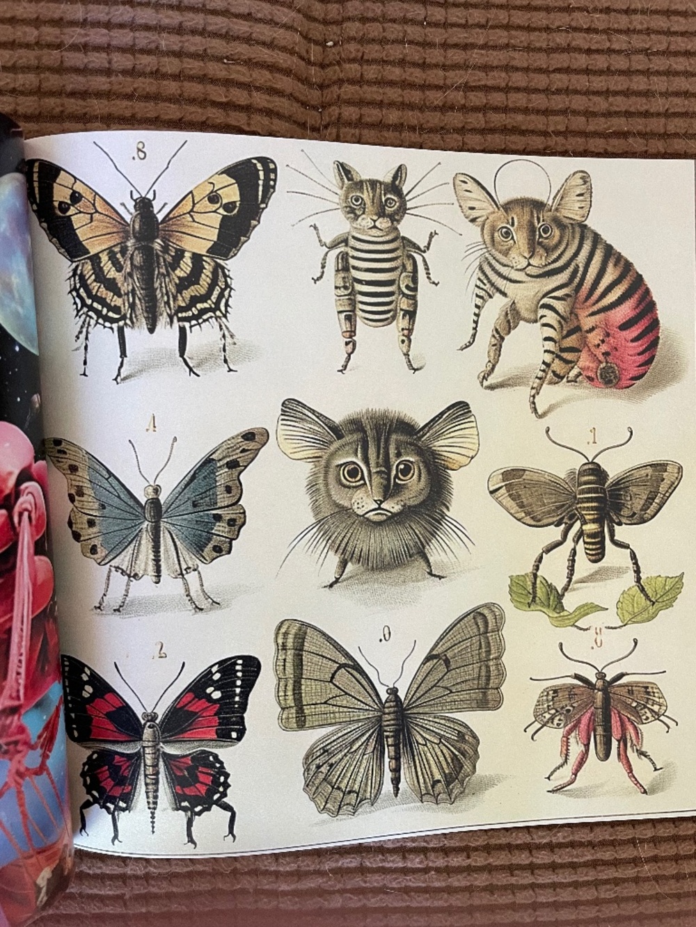 Collage Soup - A book of 110+ fanciful collage papers to inspire your creativity - Picture 6 of 15